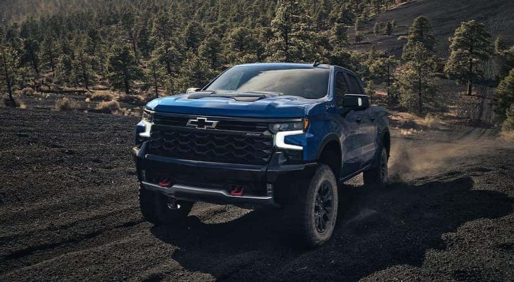 A blue 2024 Chevy Silverado 1500 ZR2 Trail Boss is shown driving on a dirt path.