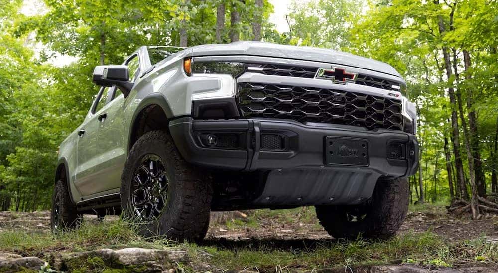 A white 2024 Chevy Silverado 1500 ZR2 Bison parked off-road in a forest.