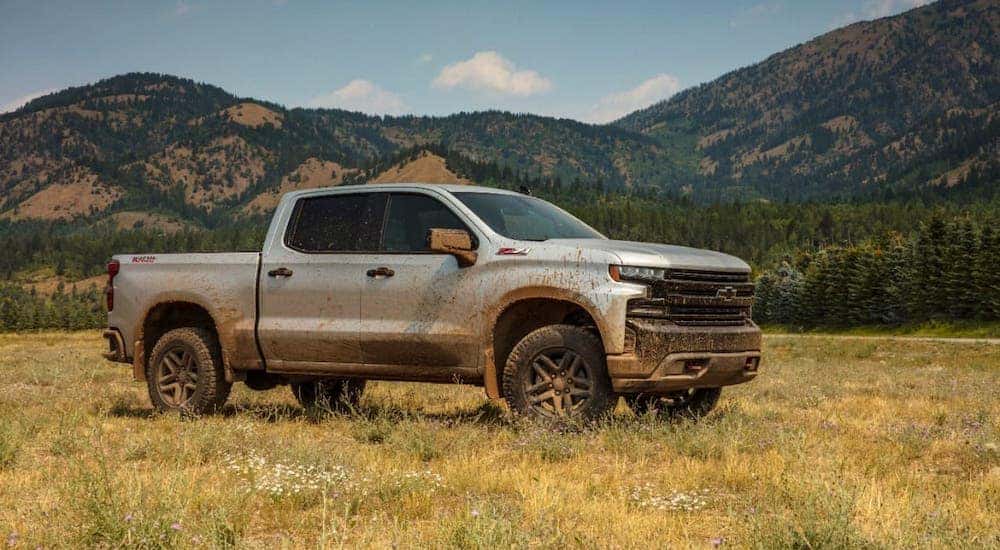 A silver 2019 Chevy Silverado TrailBoss is covered in mud and parked in a field in front of mountains.
