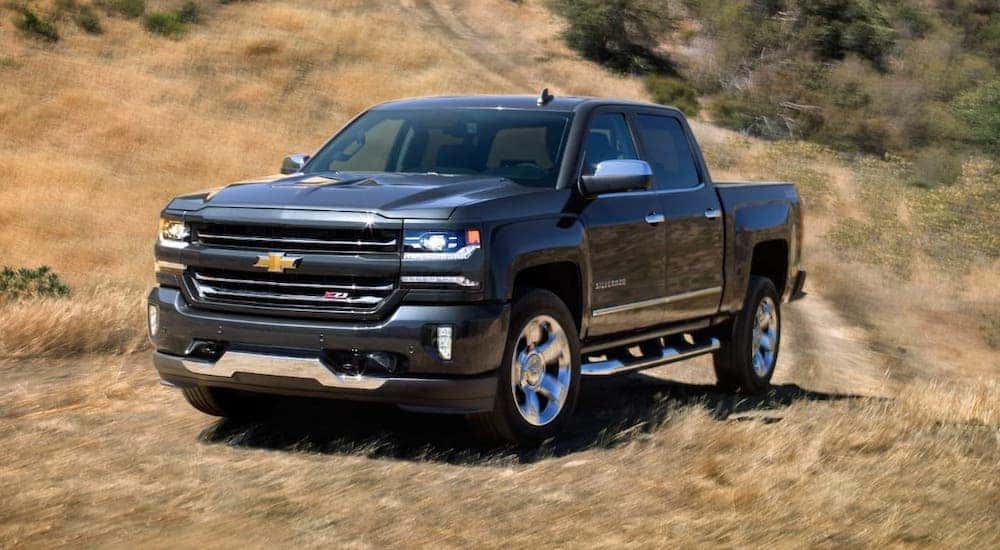 A black 2018 Chevy Silverado 1500 Z71 is driving in a yellow field after leaving a used truck dealer.