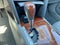 2011 Toyota Camry XLE