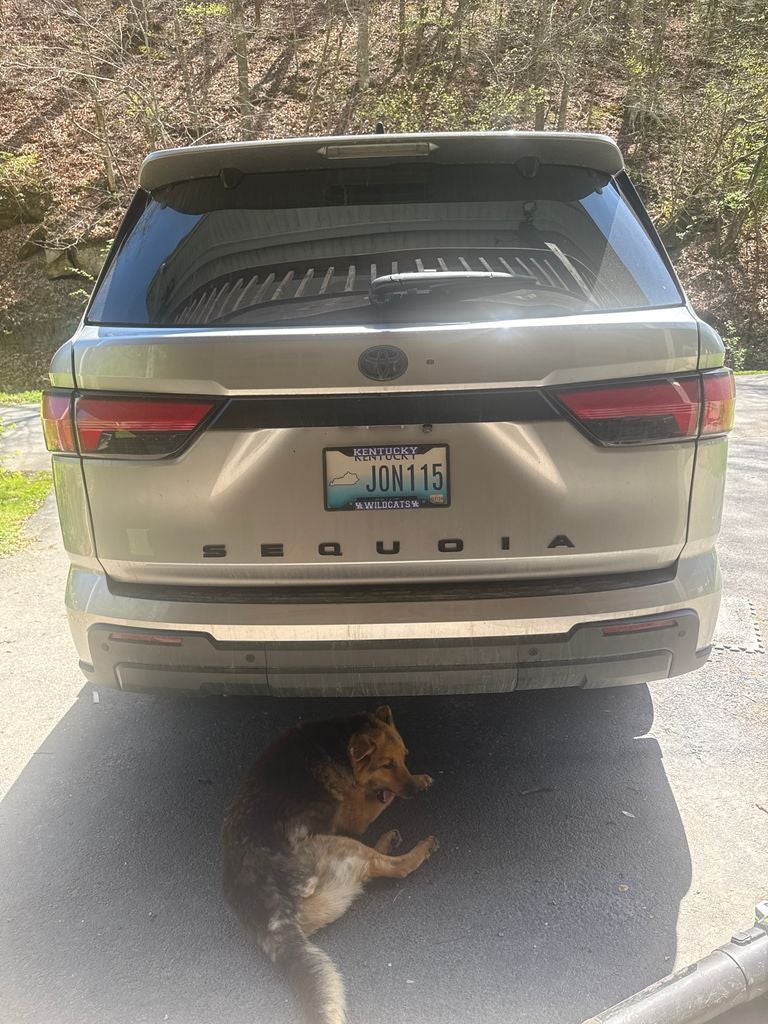 2024 Toyota Sequoia SR5