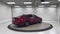 2019 Toyota Avalon XLE