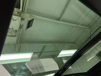 2022 Audi SQ5 Premium Plus