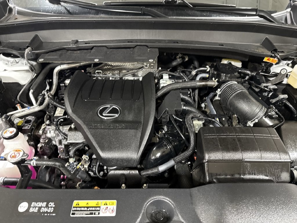 2025 Lexus TX 500h F SPORT Premium