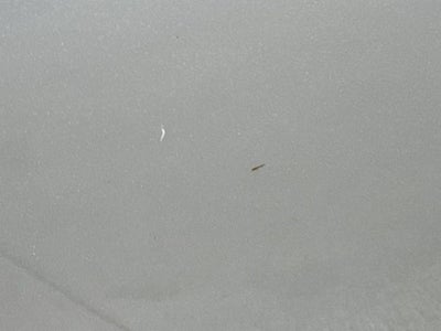 2013 Honda Civic Sdn LX