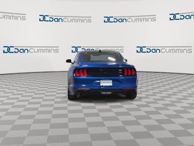 2023 Ford Mustang EcoBoost
