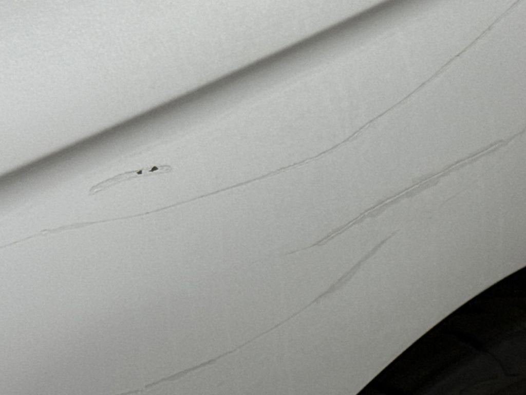 1998 Ford Mustang SVT Cobra