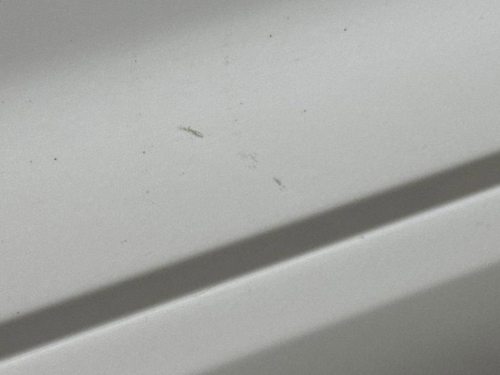 2010 Ford Explorer Limited