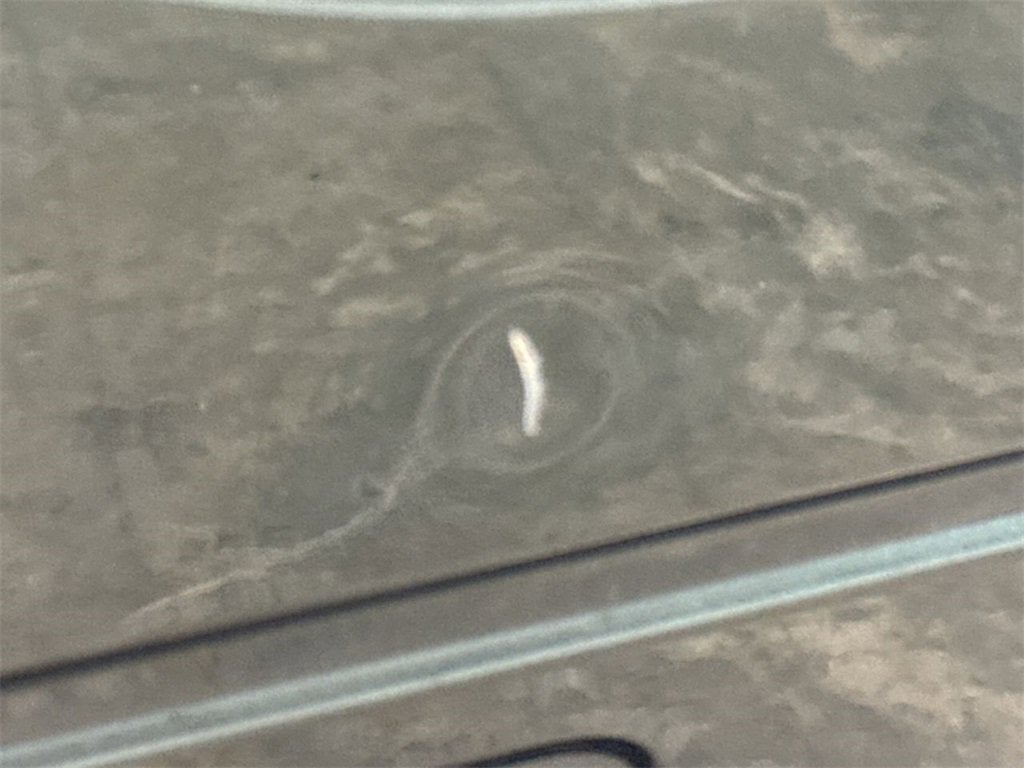 2016 Ford Super Duty F-250 SRW XLT