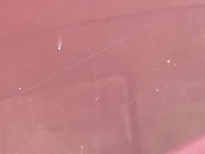 2004 Ford Super Duty F-250 XL