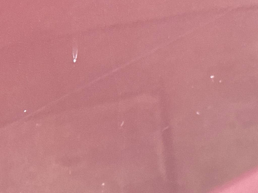 2004 Ford Super Duty F-250 XL