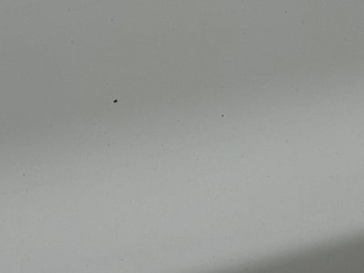 2016 Chevrolet Silverado 2500 HD Work Truck