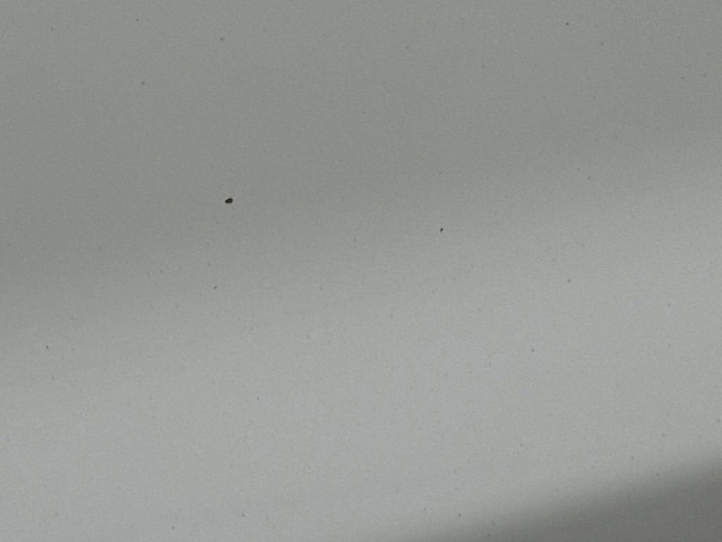 2016 Chevrolet Silverado 2500 HD Work Truck