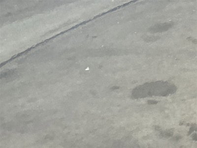 2008 Dodge Grand Caravan SXT