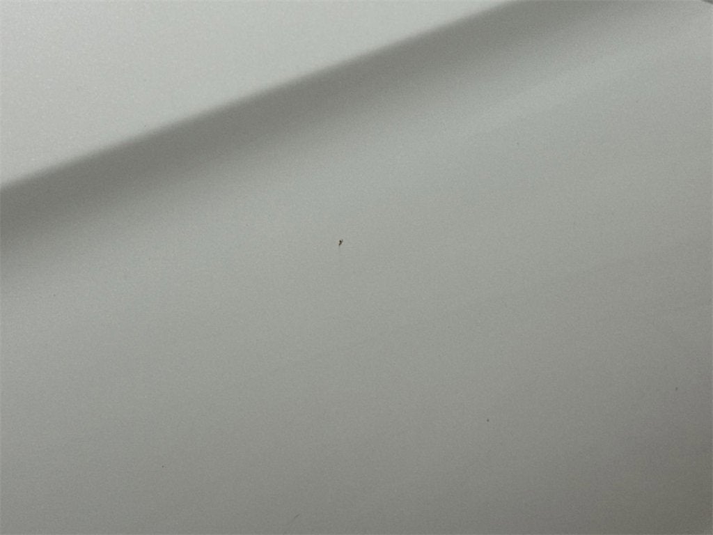 2015 Hyundai Santa Fe Sport Base