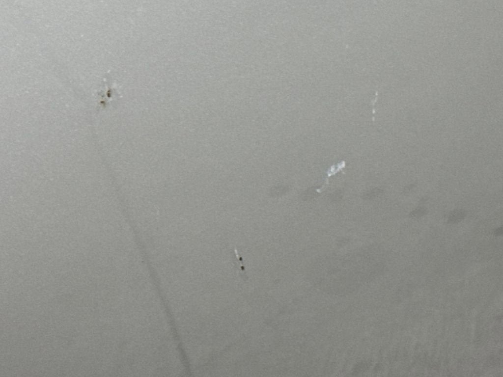 2010 INFINITI G37 Sedan Base