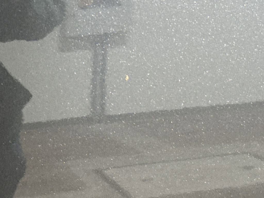 2010 Toyota 4Runner Trail