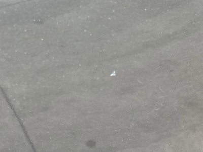 2010 Toyota 4Runner Trail