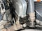 2003 Honda Element EX