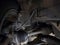 2011 Chevrolet Impala LT Fleet