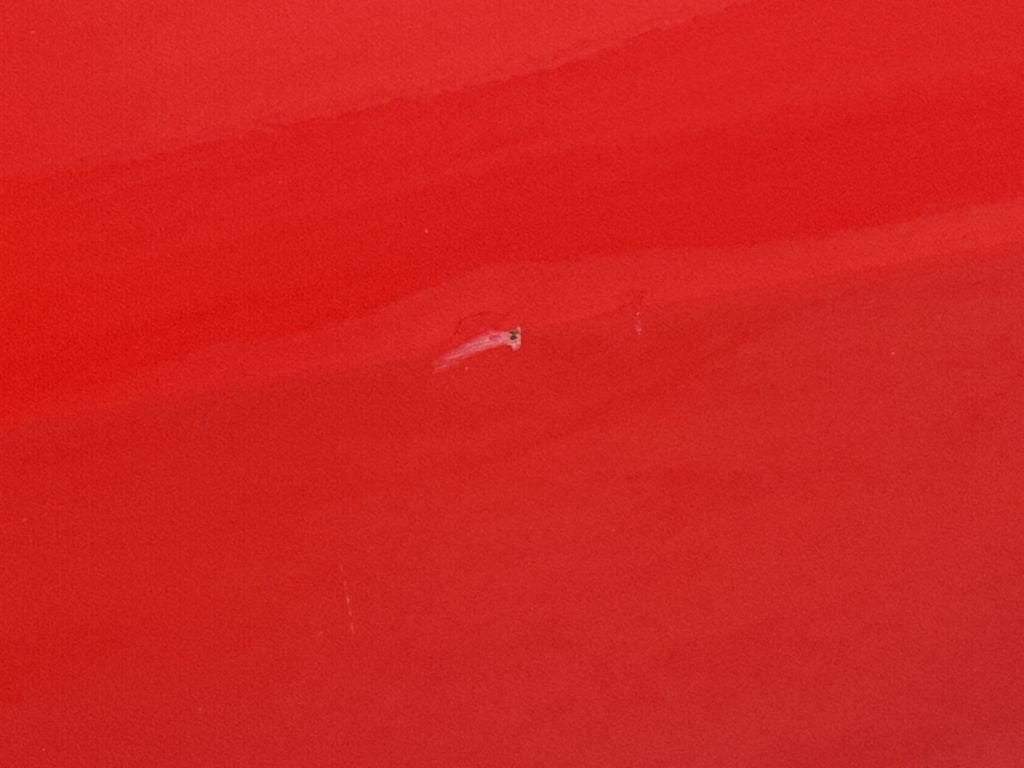 2014 Mazda Mazda2 Sport